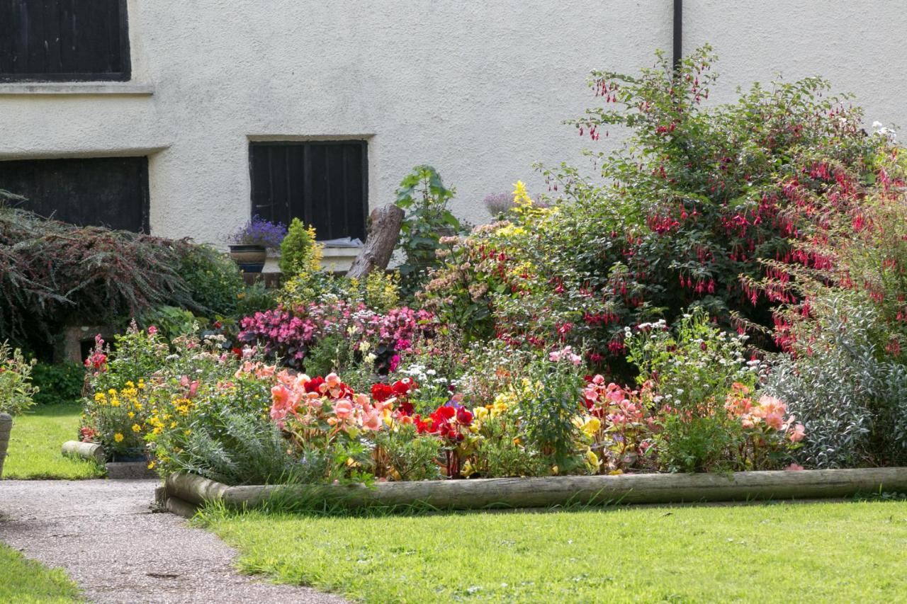 Lower Ford Farm Bed & Breakfast Cullompton Exterior photo