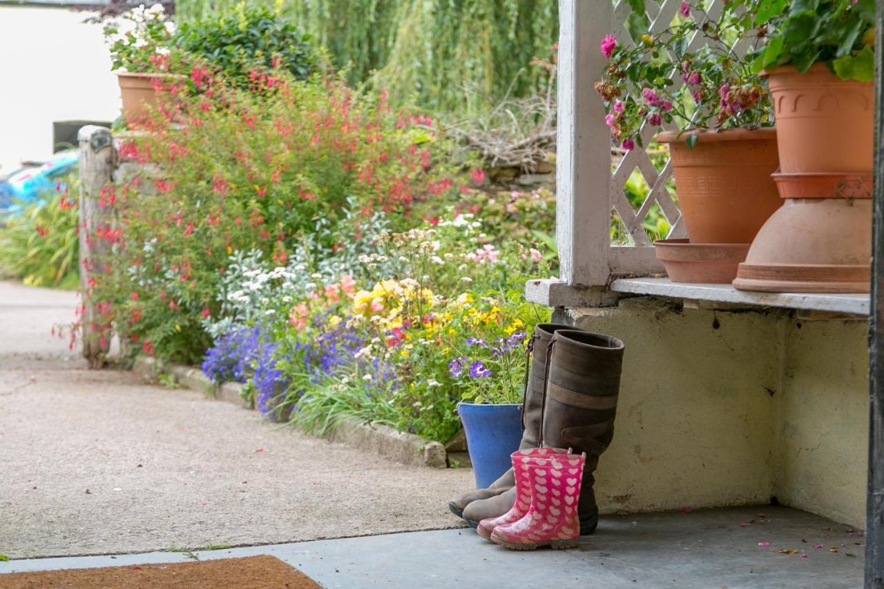 Lower Ford Farm Bed & Breakfast Cullompton Exterior photo