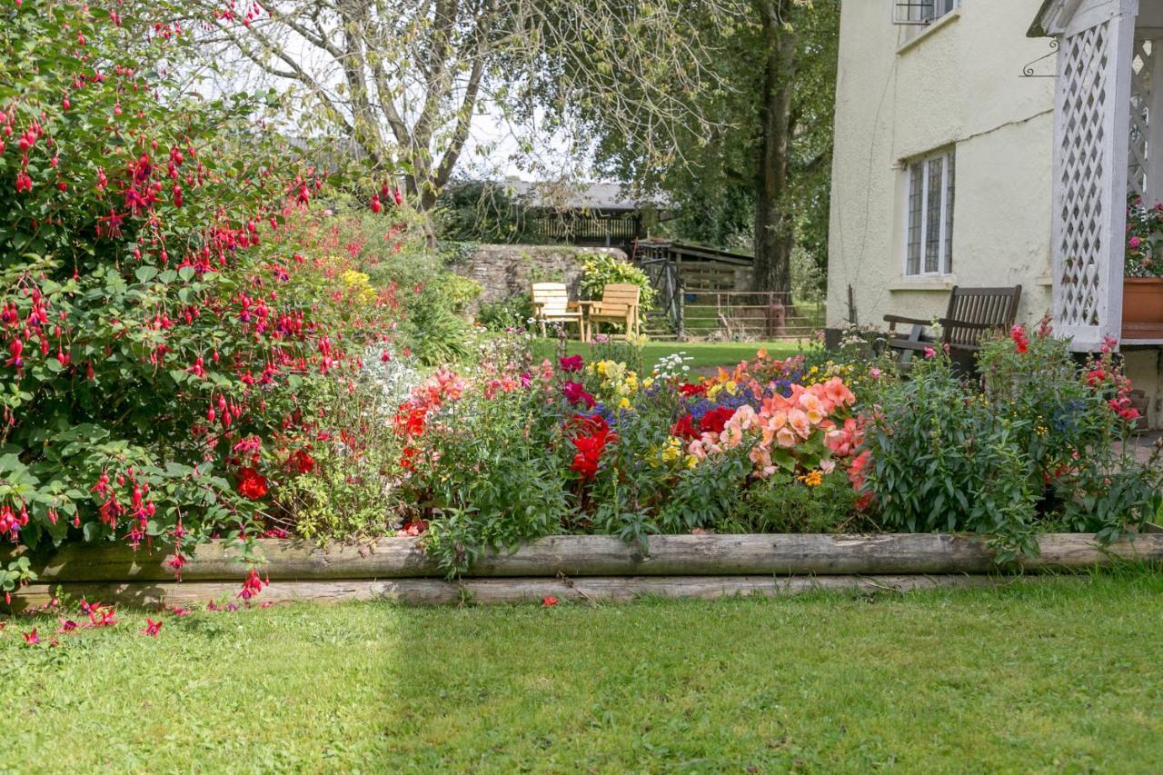 Lower Ford Farm Bed & Breakfast Cullompton Exterior photo