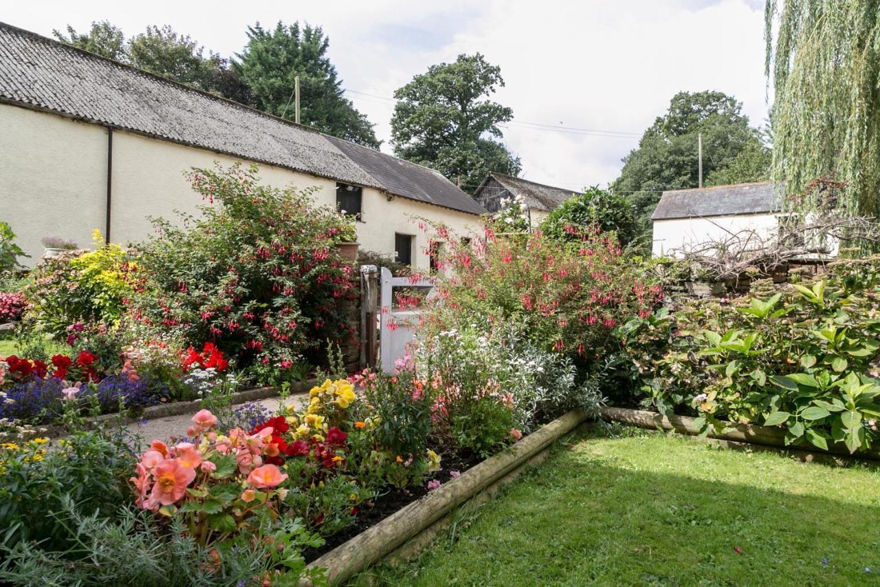 Lower Ford Farm Bed & Breakfast Cullompton Exterior photo